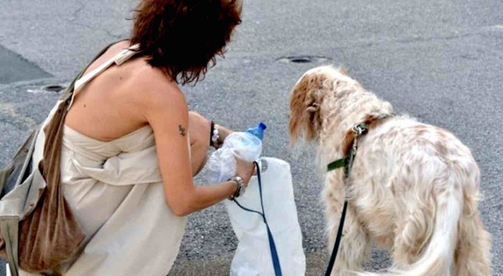 multe chi porta fuori il cane